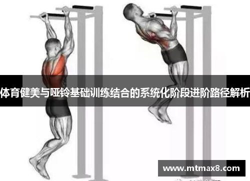 体育健美与哑铃基础训练结合的系统化阶段进阶路径解析
